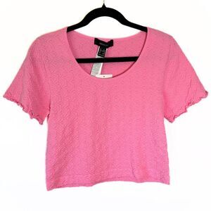 Forever 21 Knit Hot Pink Crop Top - Size 2x / 3x